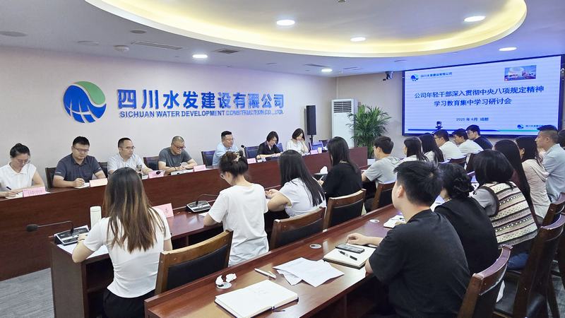 公司團(tuán)委召開年輕干部集中學(xué)習(xí)研討會